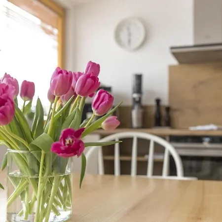 With 2 Bedrooms גרמיש-פרטנקירכן